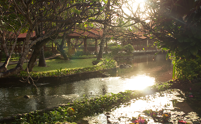 Очутиться на другой планете. Остров Бали.