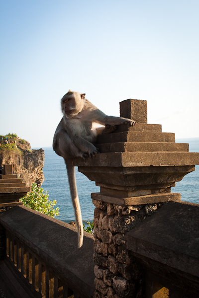 Храм обезьян. Улувату, Бали.