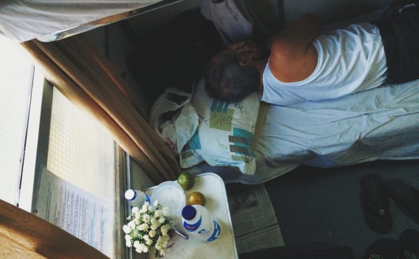 Вьетнамские поезда