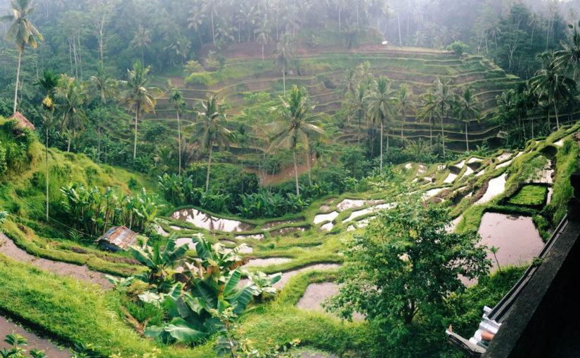 Бали для бюджетного туриста. Наш опыт.
