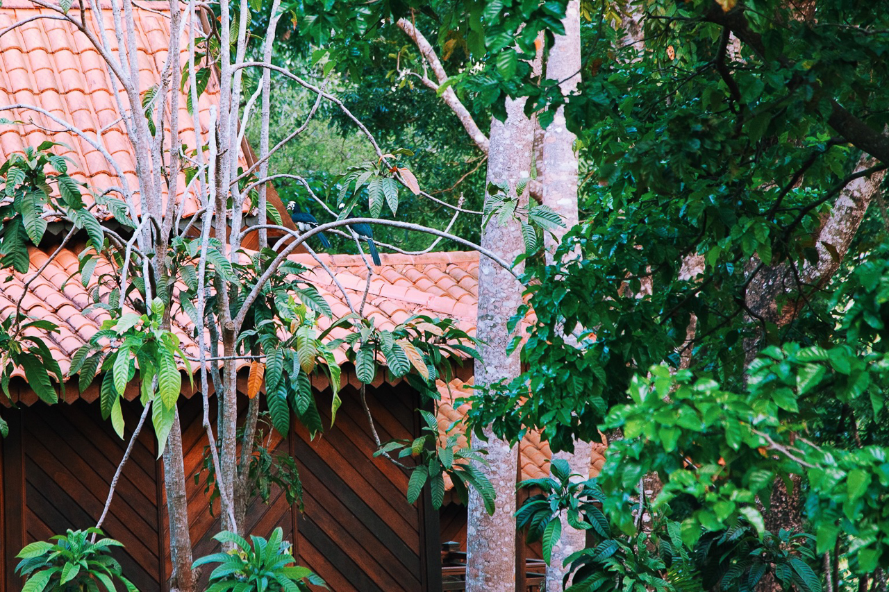 Топ самых классных и необычных отелей, в которых мы побывали: Beraja Resort, Лангкави, Малайзия